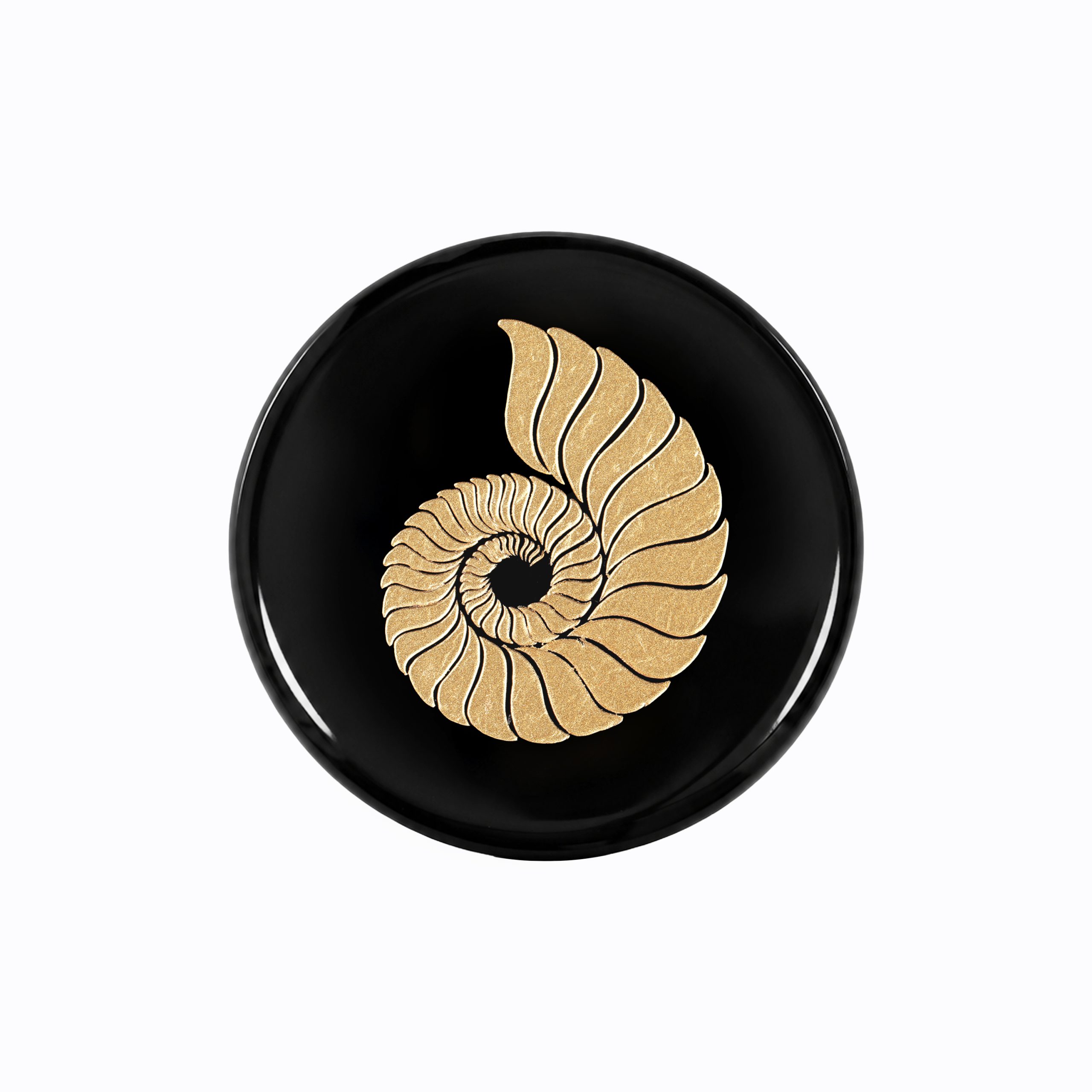 Nautilus Marble Coaster – 2